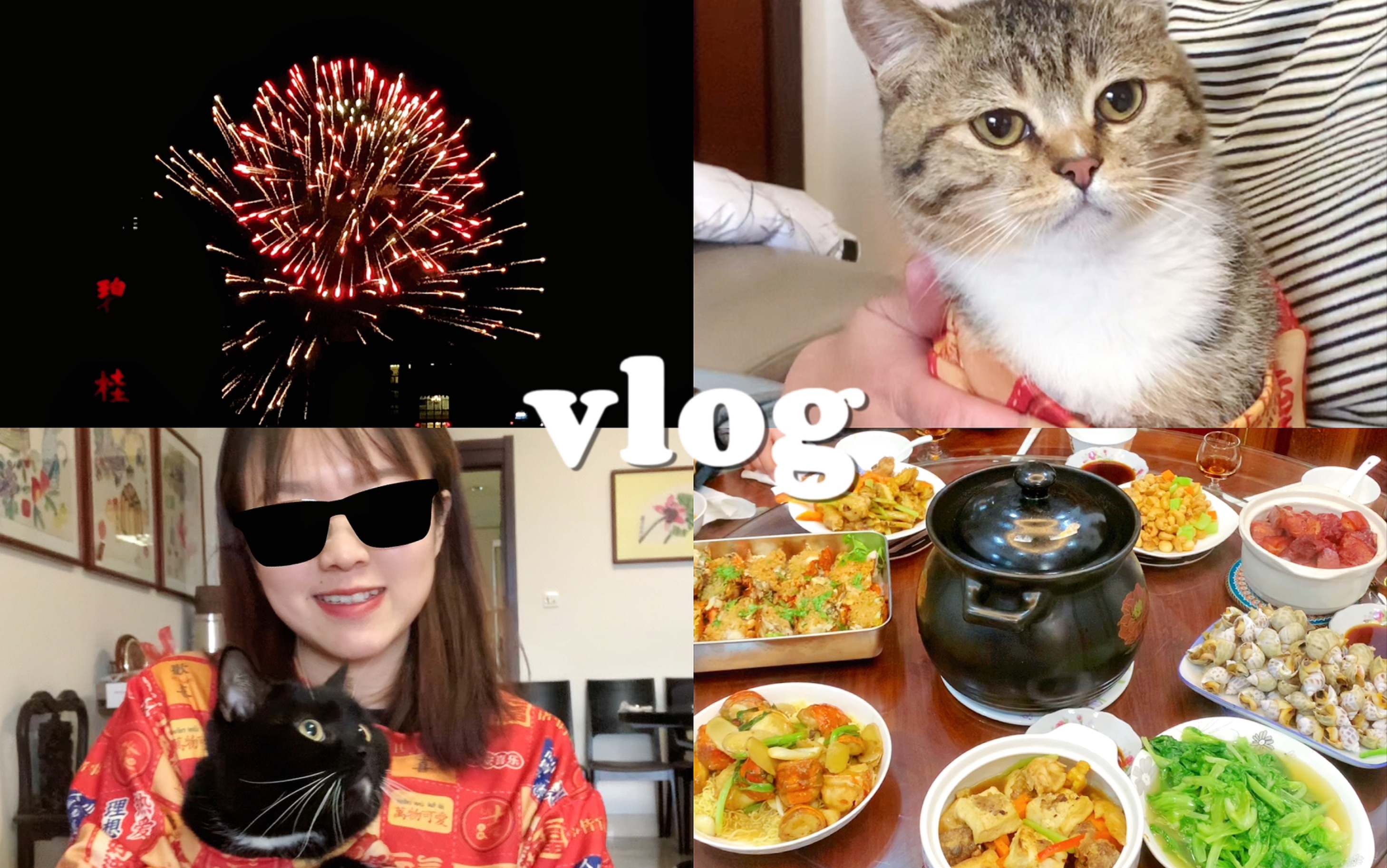 vlog/大年三十一日流水账/除夕年夜饭全记录/给小猫拍新年照贴对联/新年快乐/美美看烟花/和家人幸福美满的一个年哔哩哔哩bilibili