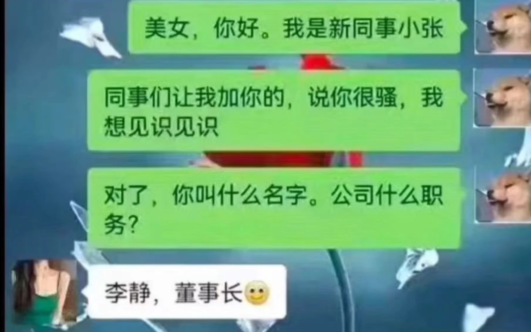 董事长,听说你很骚哔哩哔哩bilibili