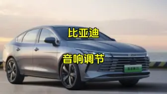 比亚迪音响音质调节教程来啦！享受百万级音响效果！