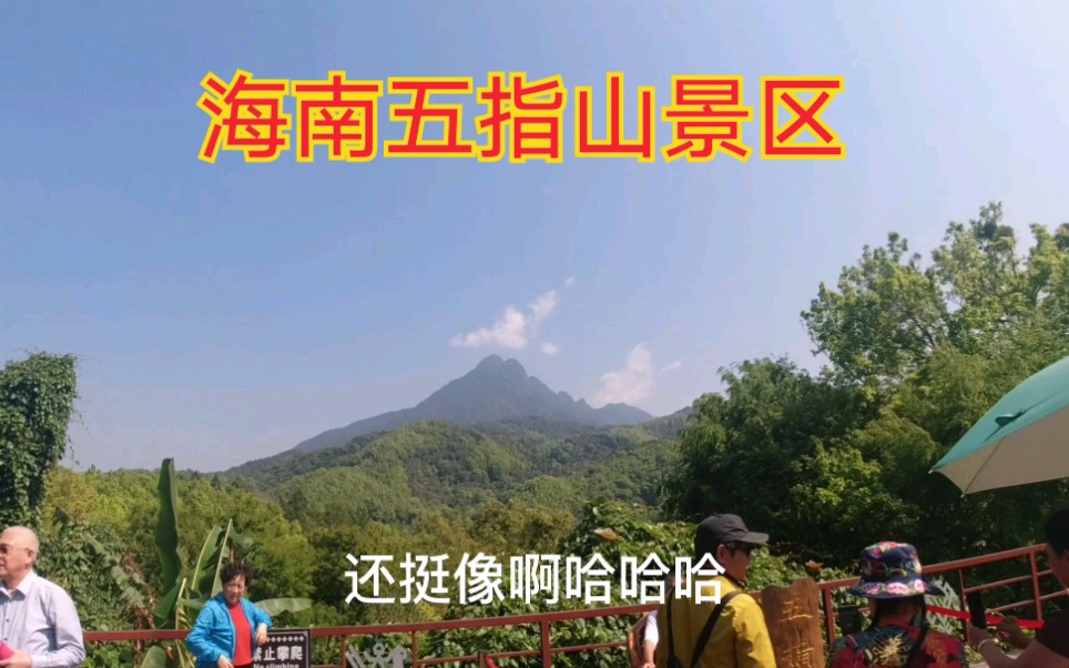 海南五指山是海南第一高峰,很多河流发源于此.还有热带雨林呦哔哩哔哩bilibili