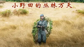 过迟归国实录 小野田少尉実録 小野田少尉遅すぎた帰還 05 哔哩哔哩 Bilibili