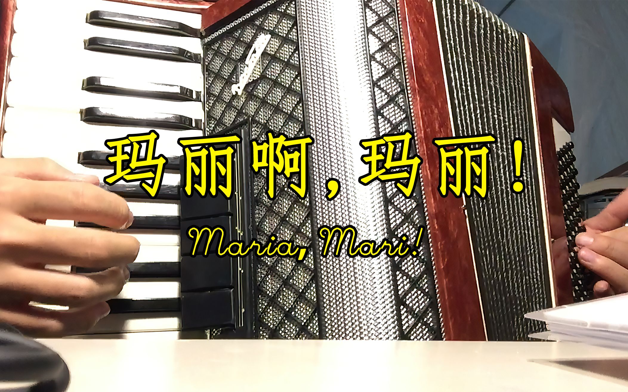 【手风琴】玛丽啊,玛丽!Maria, Mari!哔哩哔哩bilibili