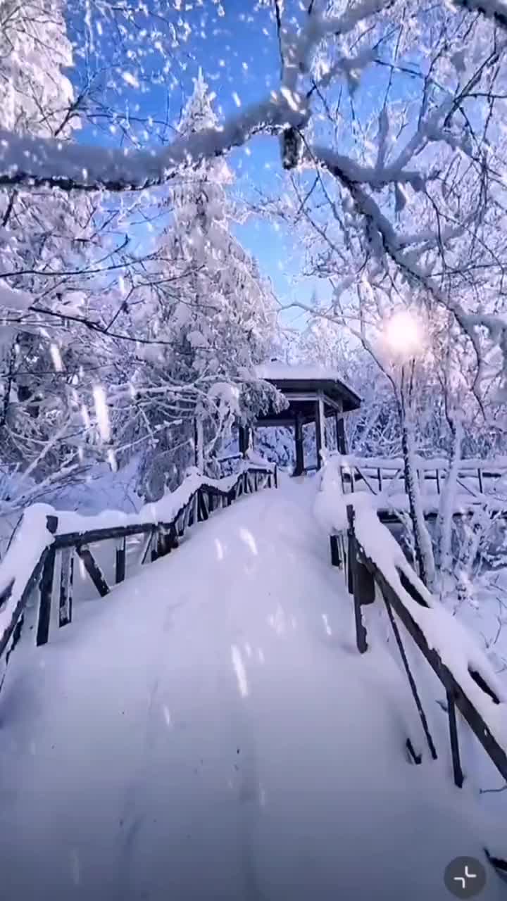 下雪天美景图片