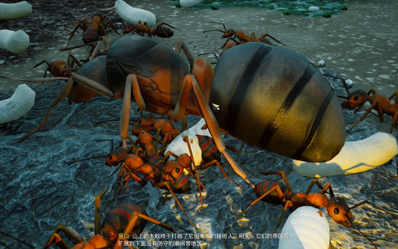 地下蚁国32大战行军蚁爆肝之作