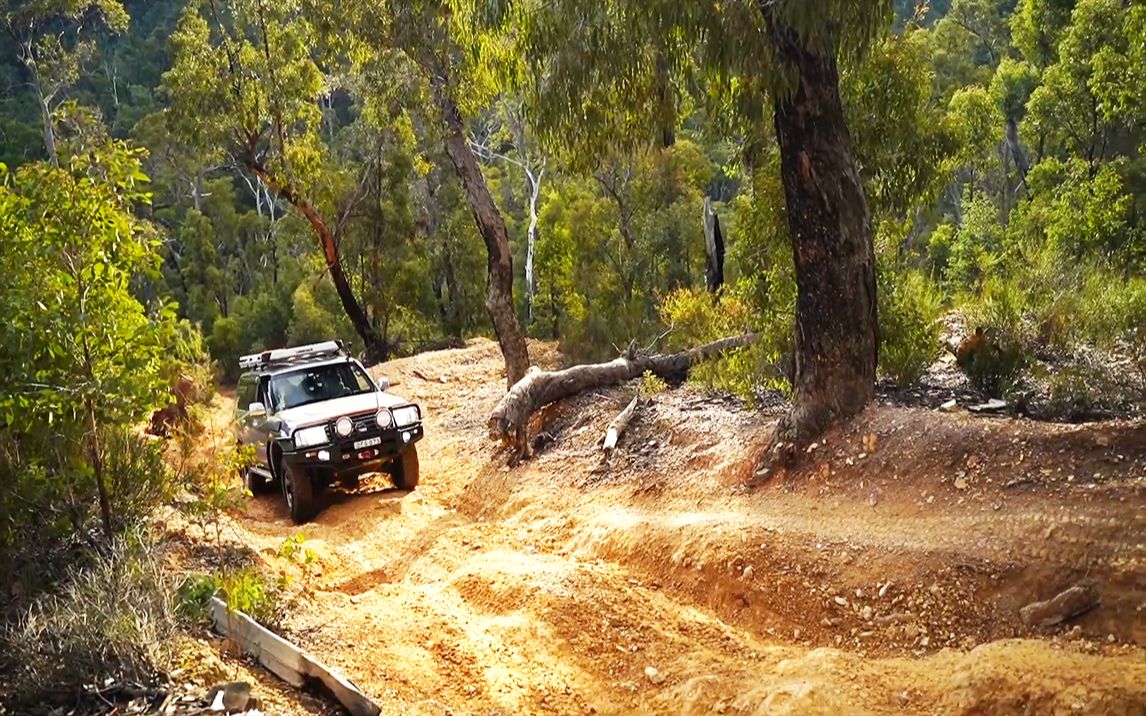 林间越野 | 自由穿梭在密林间