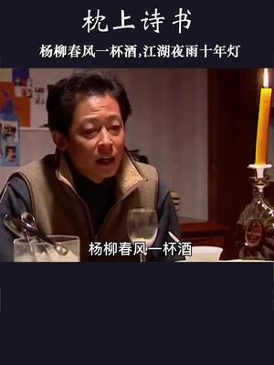 杨柳春风一杯酒,江湖夜雨十年灯!哔哩哔哩bilibili