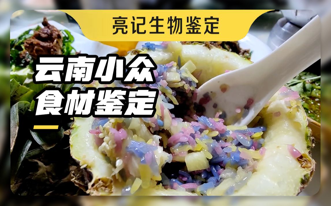 [图]云南小众食材鉴定