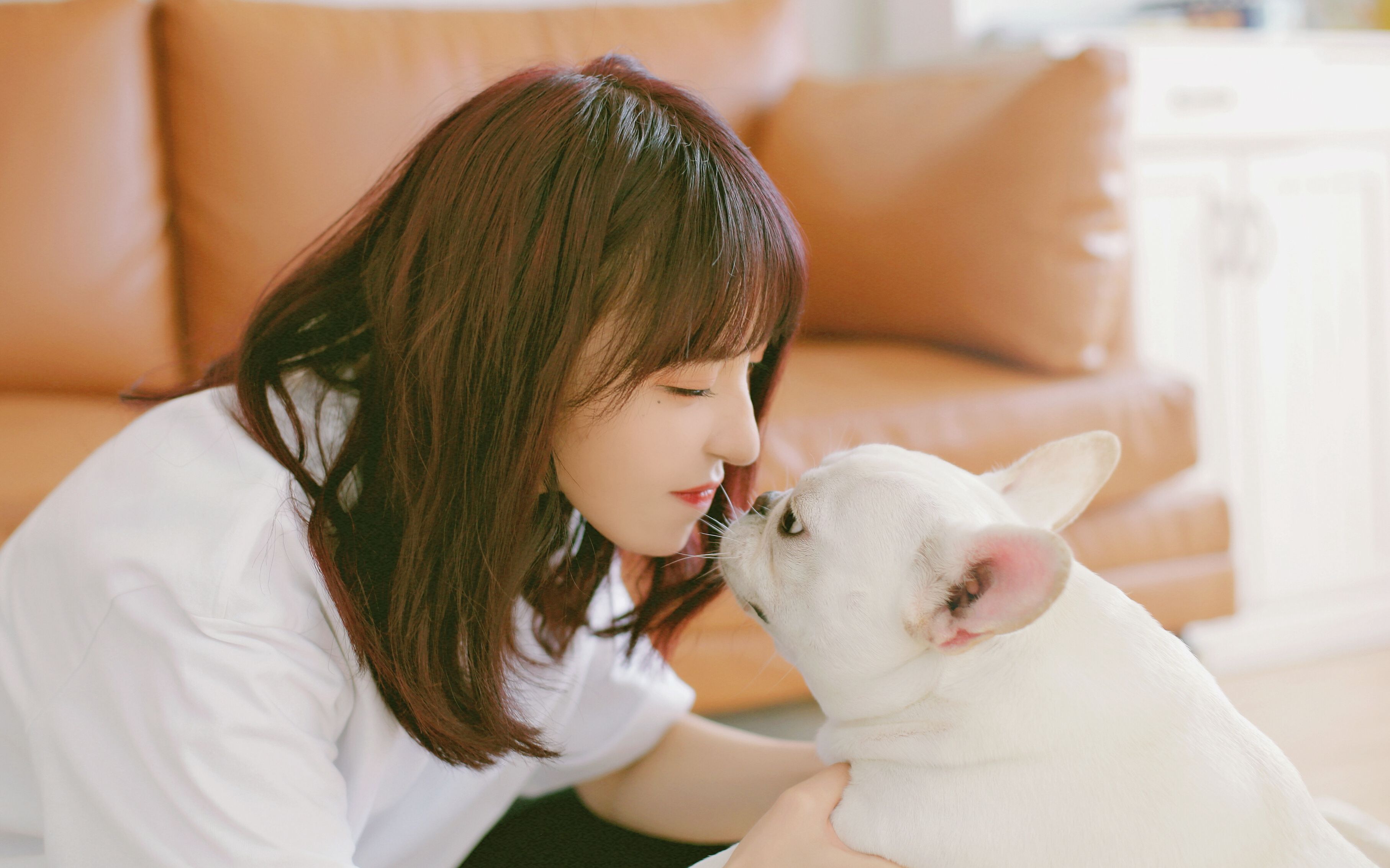 bej48 teamj 房蕾直播 20180915_哔哩哔哩 (゜-゜)つロ 干杯~-bili