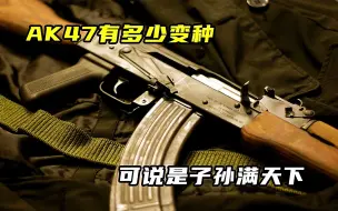 Download Video: AK47有多少变种，可说是子孙满天下