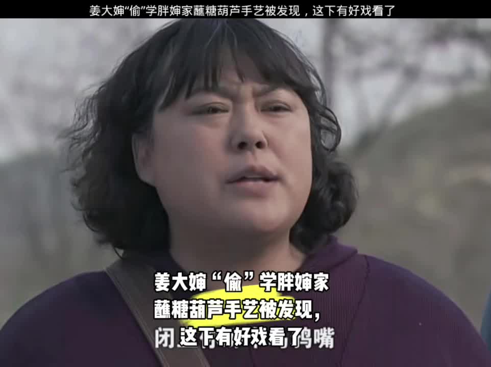 姜大婶“偷”学胖婶家蘸糖葫芦手艺被发现,这下有好戏看了《宝乐婶的烦心事》哔哩哔哩bilibili