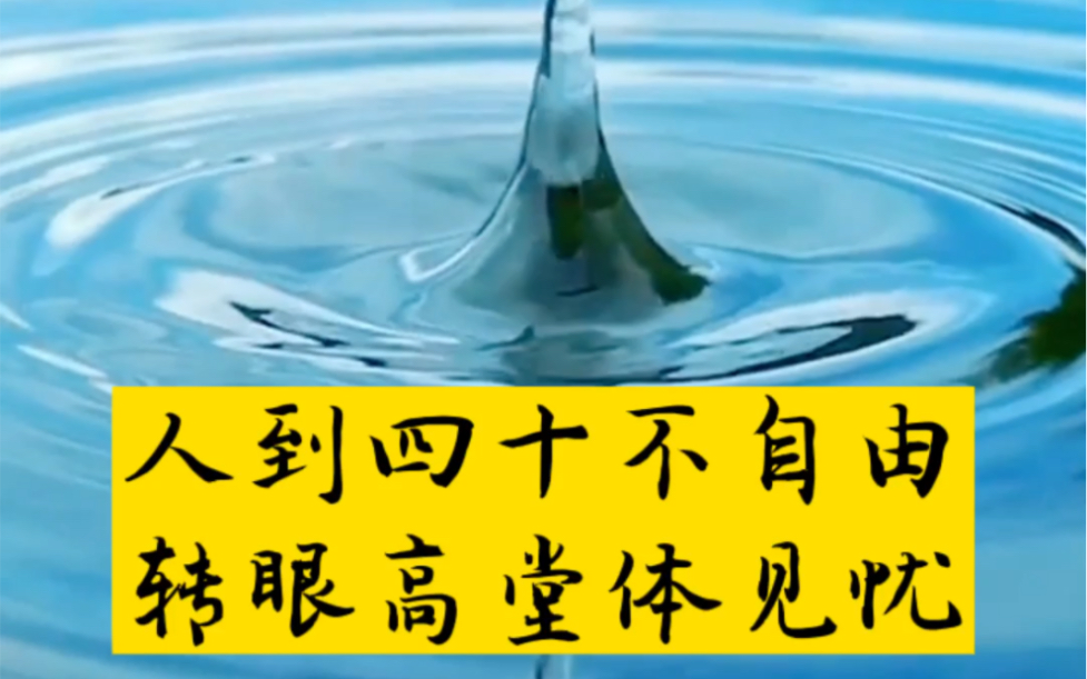 人到四十不自由,转眼高堂体见忧.檐前犬子尚难立,负尽糟糠为盐油#古诗词 #人生感悟哔哩哔哩bilibili