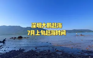 Download Video: 第54集｜深圳大鹏赶海7月上旬赶海攻略