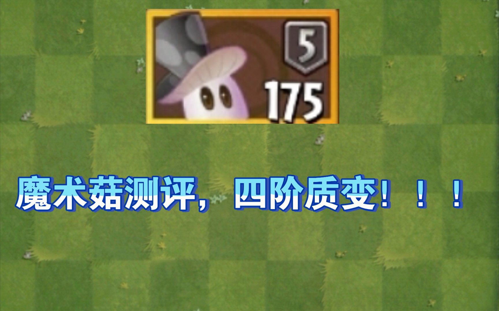 魔术菇测评四阶质变真正的僵王