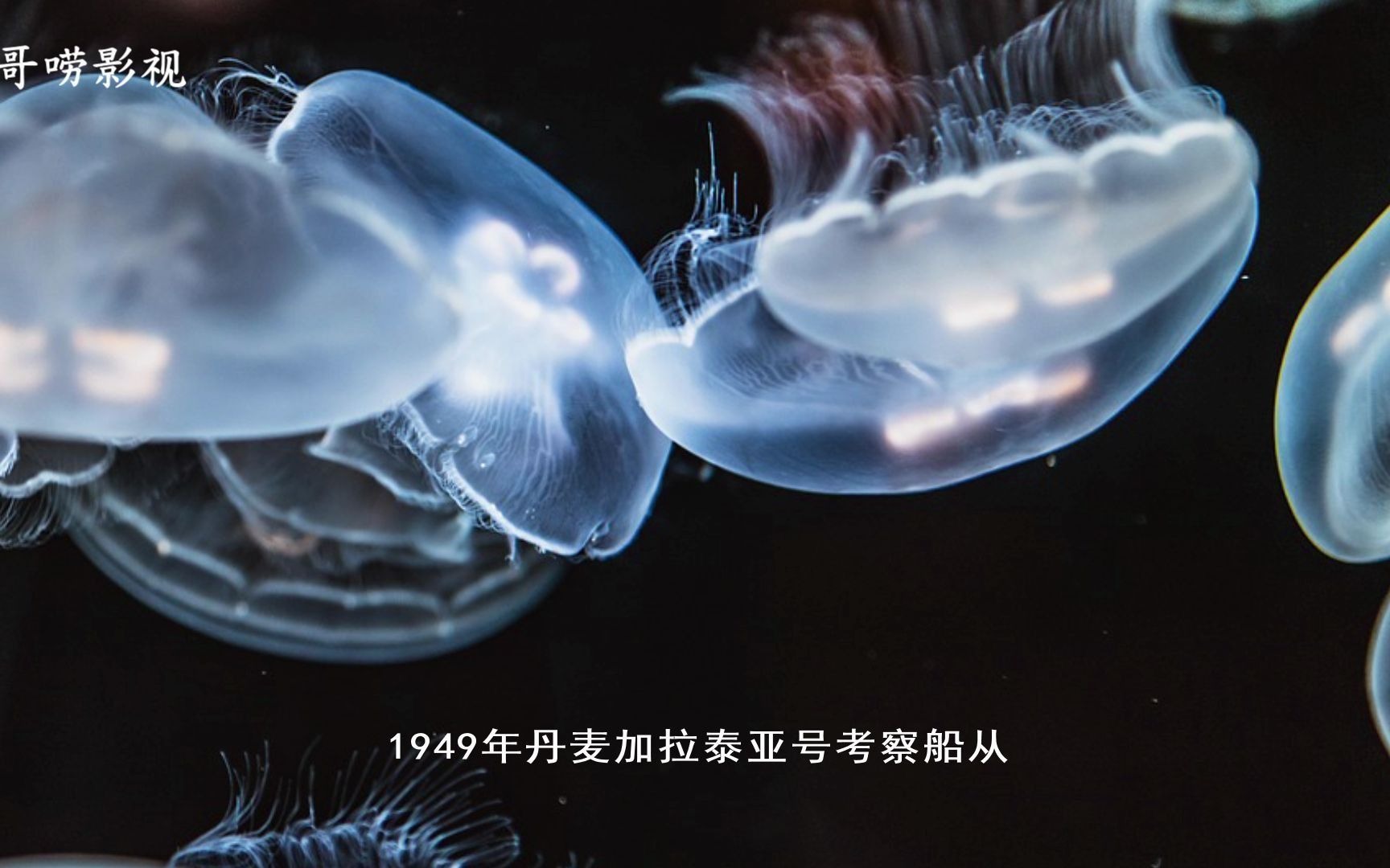 世界大国承认不明飞行物水下也发现usfo