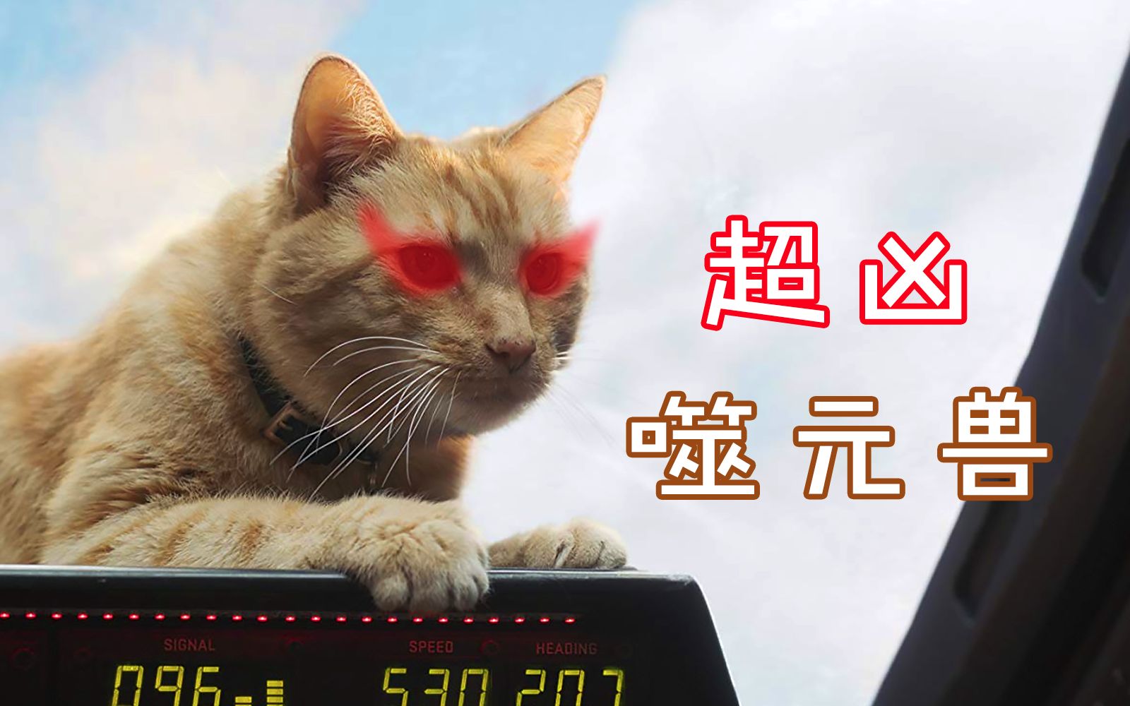 为什么说《惊奇队长》中"噬元兽"橘猫的作用,比你想象地更重要?