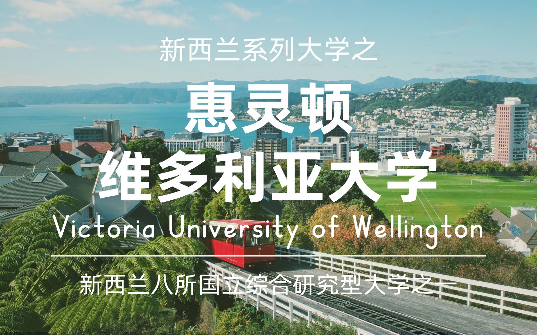 新西兰系列大学之惠灵顿维多利亚大学,新西兰八所国立综合研究型大学之一哔哩哔哩bilibili