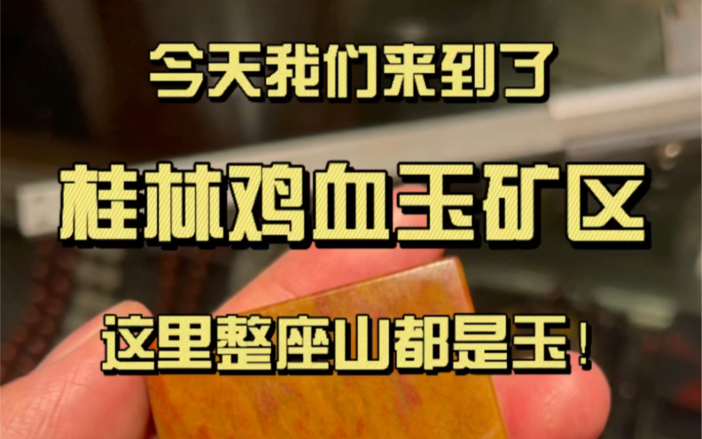 这里整座山都是玉!只要你搬得动,随便拿!哔哩哔哩bilibili