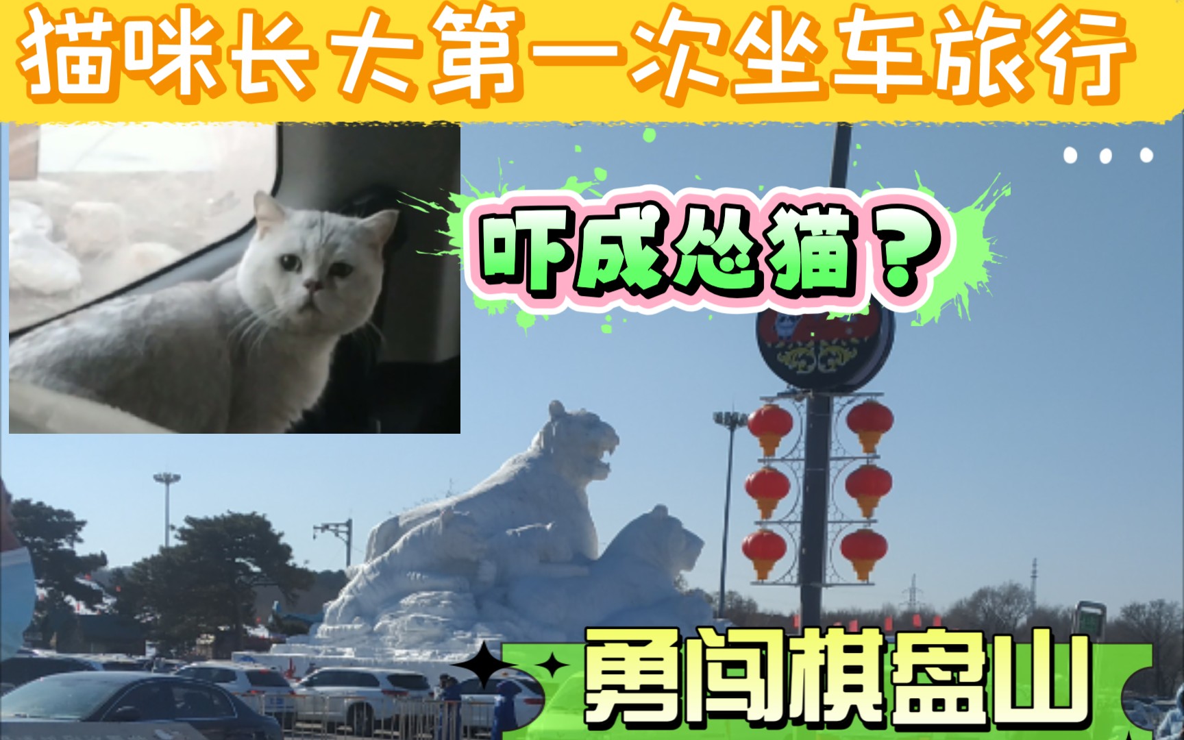 修猫咪勇闯滑雪大世界~(首次棋盘山之旅①)哔哩哔哩bilibili