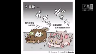 千千進食中 Pui Pui天竺鼠車車飯團 為什麼要吃車車 Pui Pui モルカー 哔哩哔哩 Bilibili