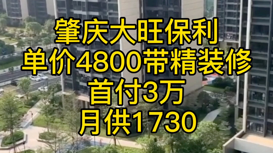 肇庆大旺是属于粤港澳大湾区吗?值得投资吗?首付3万,月供才1700而且还是保利大品牌开发商哔哩哔哩bilibili