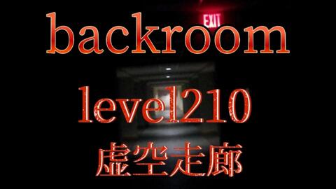 Level 210 - The Condos - The Backrooms