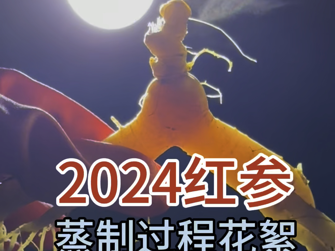 2024年深秋红参制作过程花絮分享#红参 #制作过程 #2024新农人计划哔哩哔哩bilibili