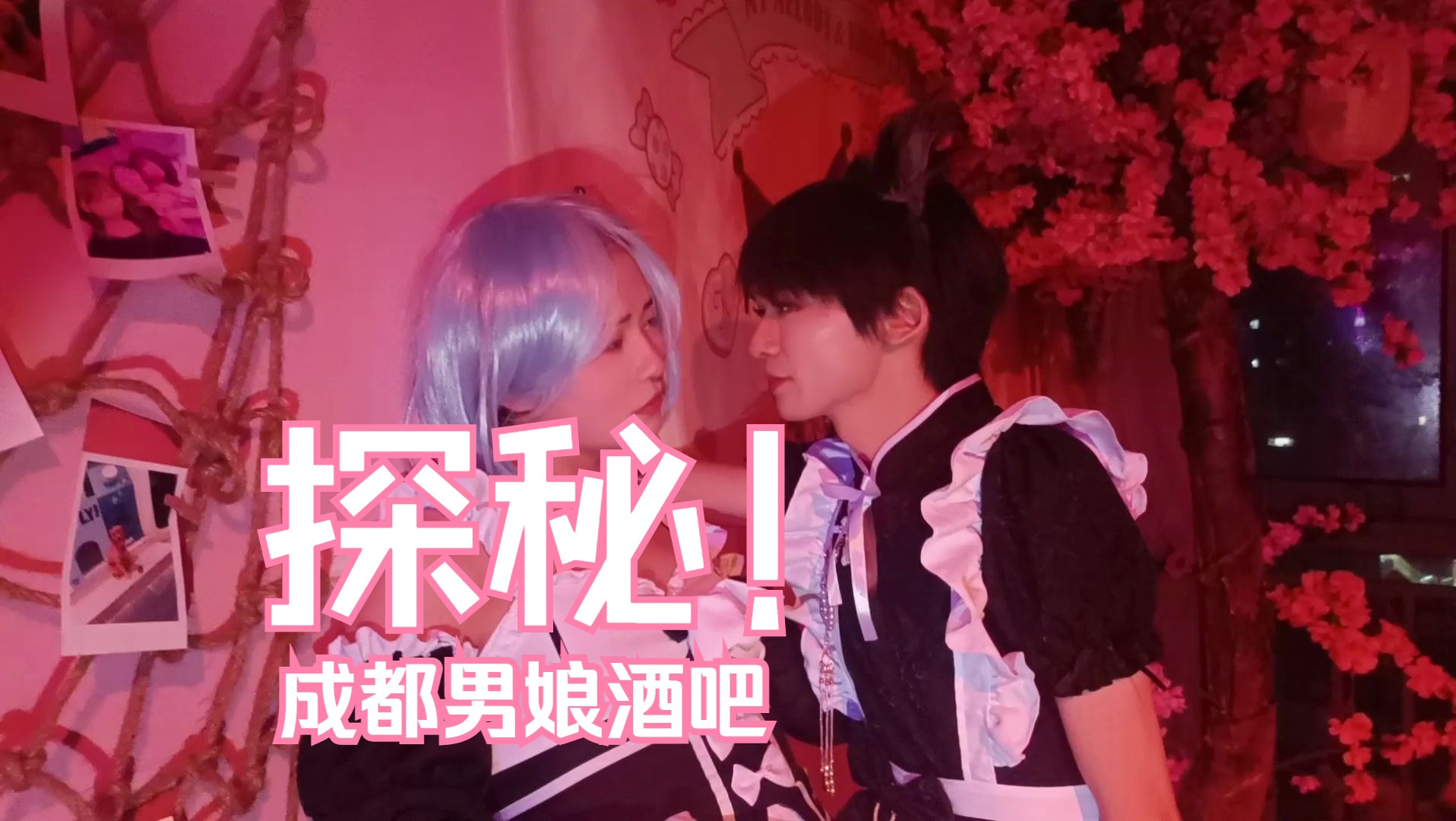 探秘成都男娘酒吧!