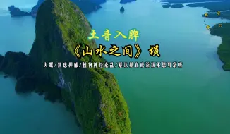 Download Video: 土音入脾 改善气色 安稳情绪 失眠/焦虑/抑郁/植物神经紊乱/暴饮暴食或茶饭不思可常听《山水之间》埙