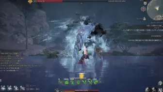 神佑释放 Crusader vs Bashal DPS