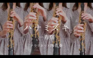 ハナミズキ-哔哩哔哩_Bilibili
