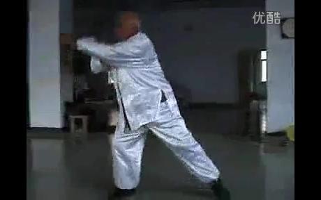 【罗疃系李门八极拳】李世铭(李大忠玄孙)与弟子李金恒对练哔哩哔哩bilibili