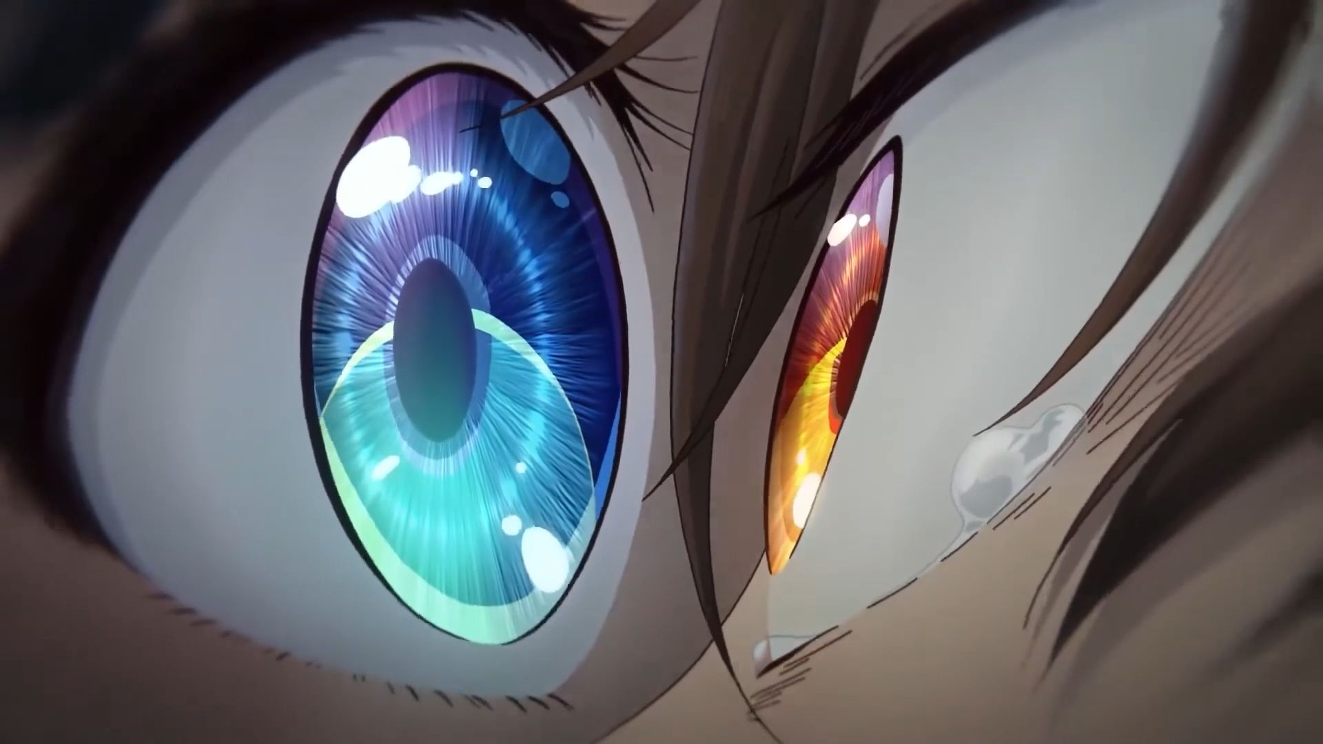对视是生物最赤裸的挑衅