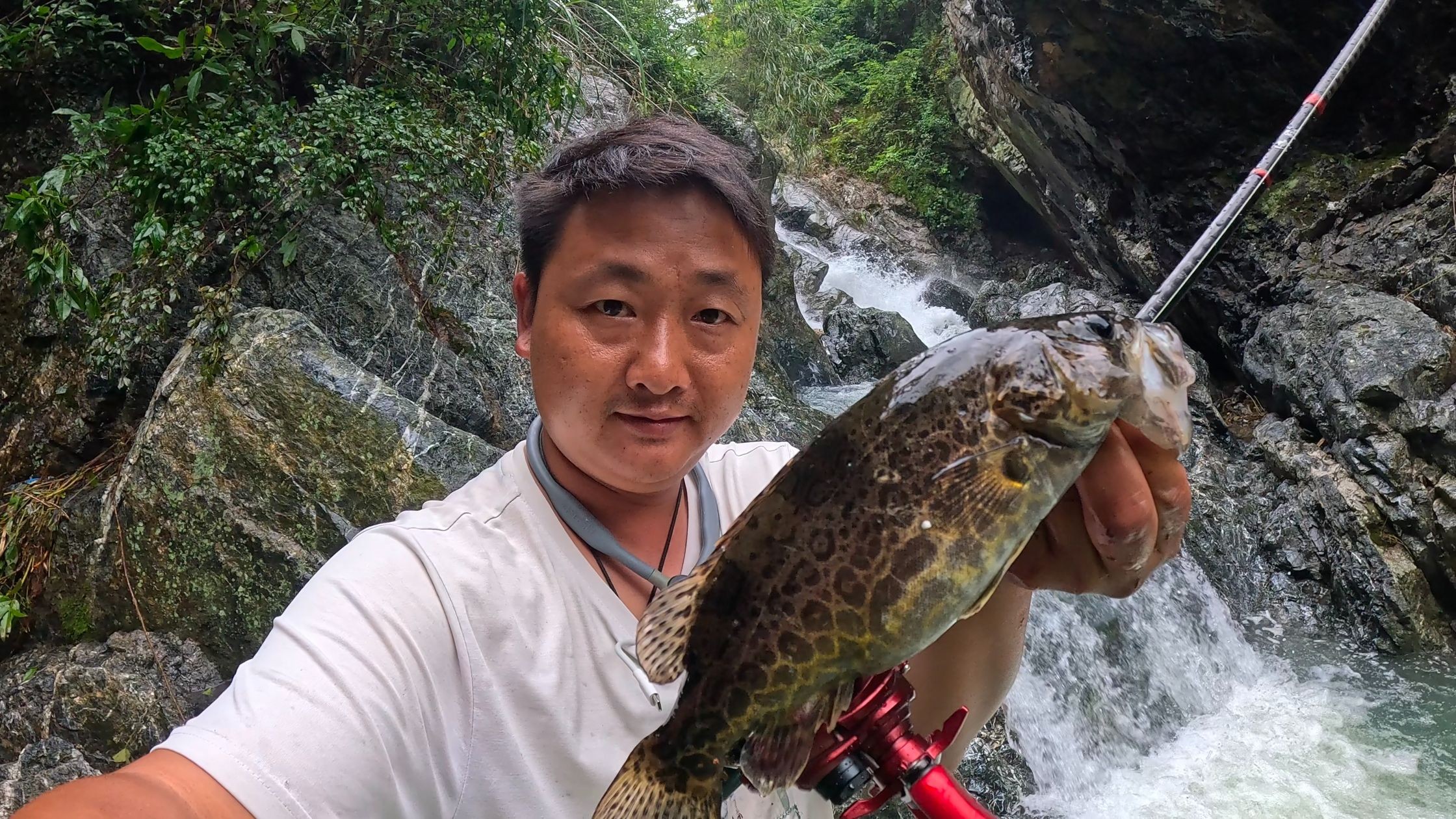 今年6月了还有鳜鱼钓,就要去看老婆孩子,多钓点鳜鱼拿去郴州吃哔哩哔哩bilibili