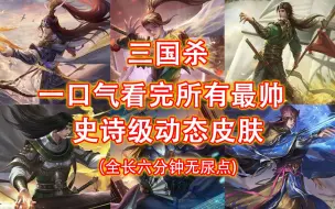 Download Video: 【三国杀】一口气看完所有最帅动态皮肤