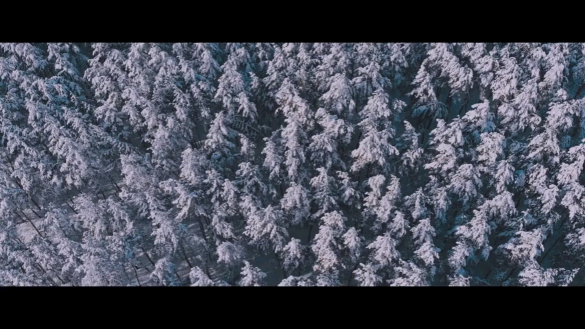 [图]庐山天下悠冰雪嘉年华