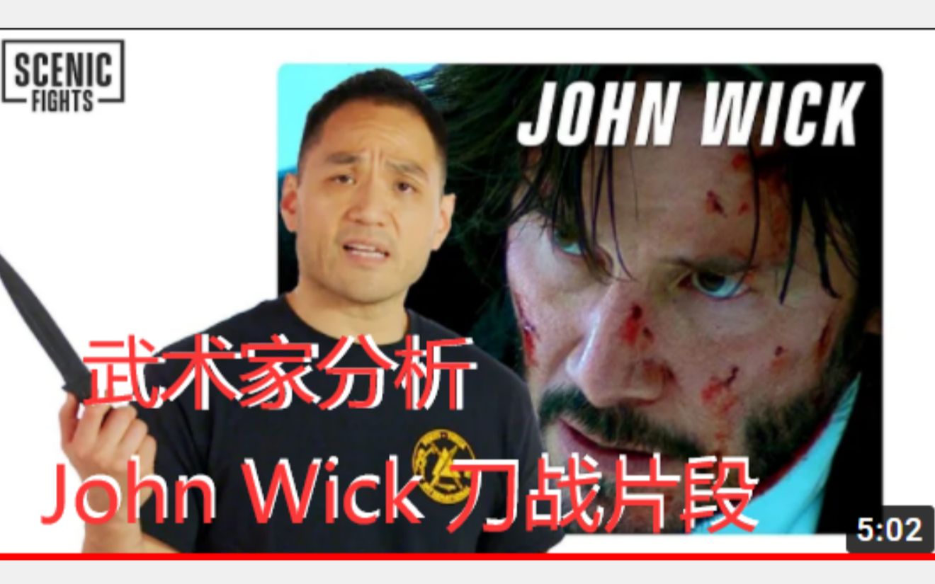 【武术家分析电影】john wick刀战片段