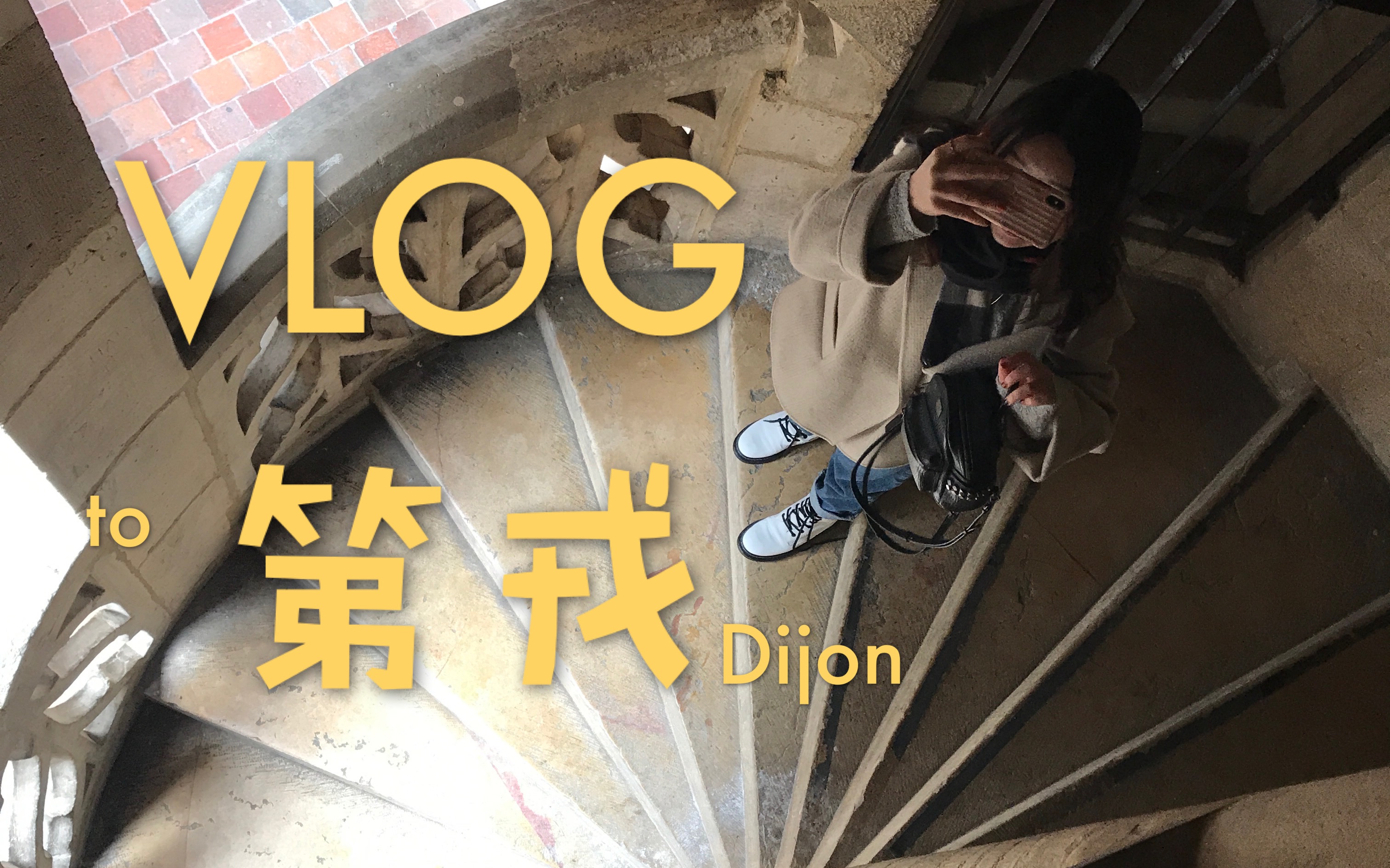 第戎VLOG┃跟我在Dijon的街头走一走哔哩哔哩bilibili