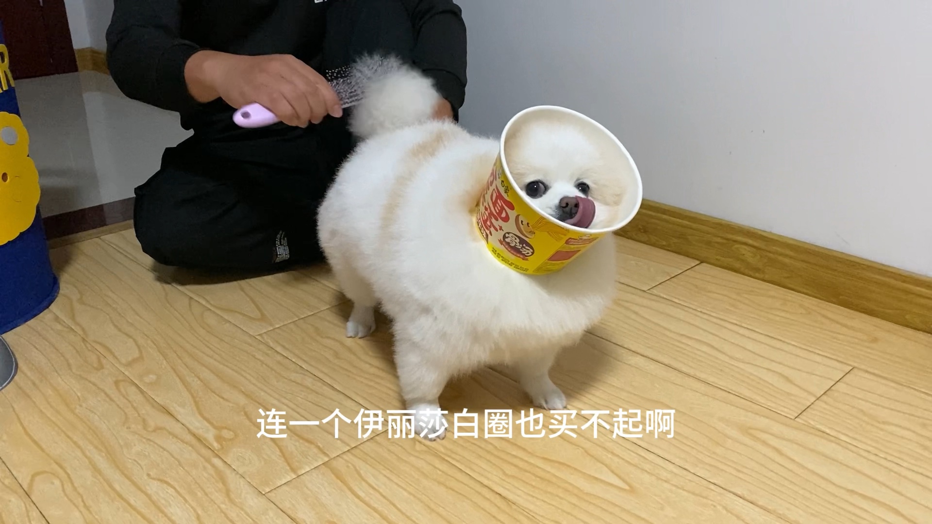 不是伊丽莎白圈买不起 而是泡面桶更有性价比