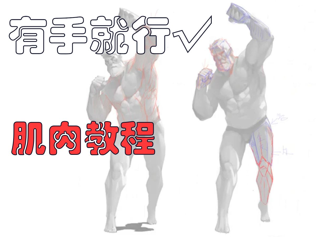 【干货】绘画攻略| 肌肉体块(不会画肌肉?不理解人体?