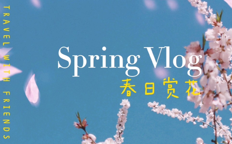 记录向 || 2021年四月赏花实录_哔哩哔哩_bilibili