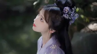 【万美收藏：0057期-龟酱】BGM：苏幕遮 - 张晓棠