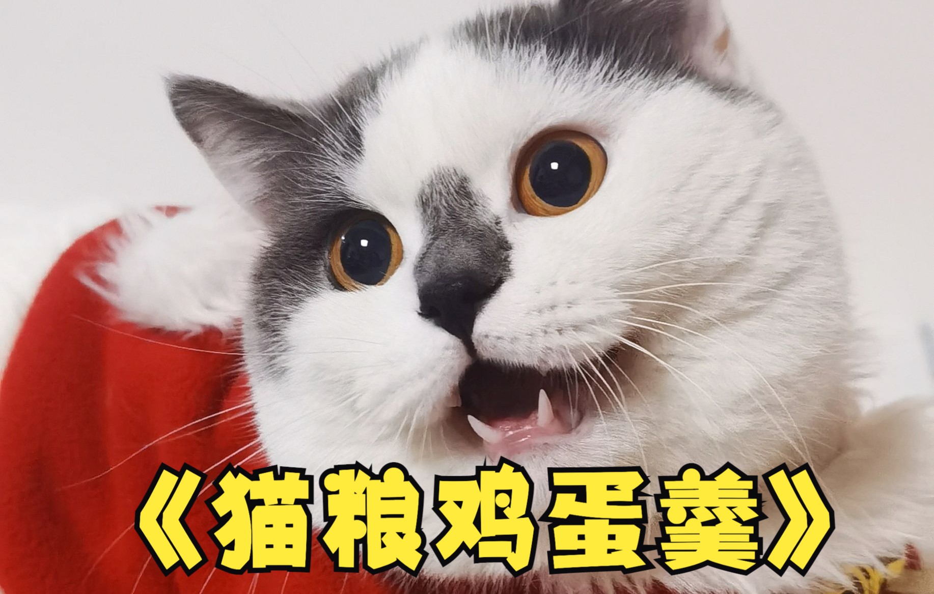 黑暗料理猫王