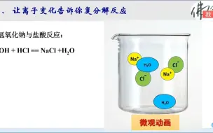 Download Video: 初三化学总复习系列精品微课（二十一）从离子角度“欣赏”复分解反应