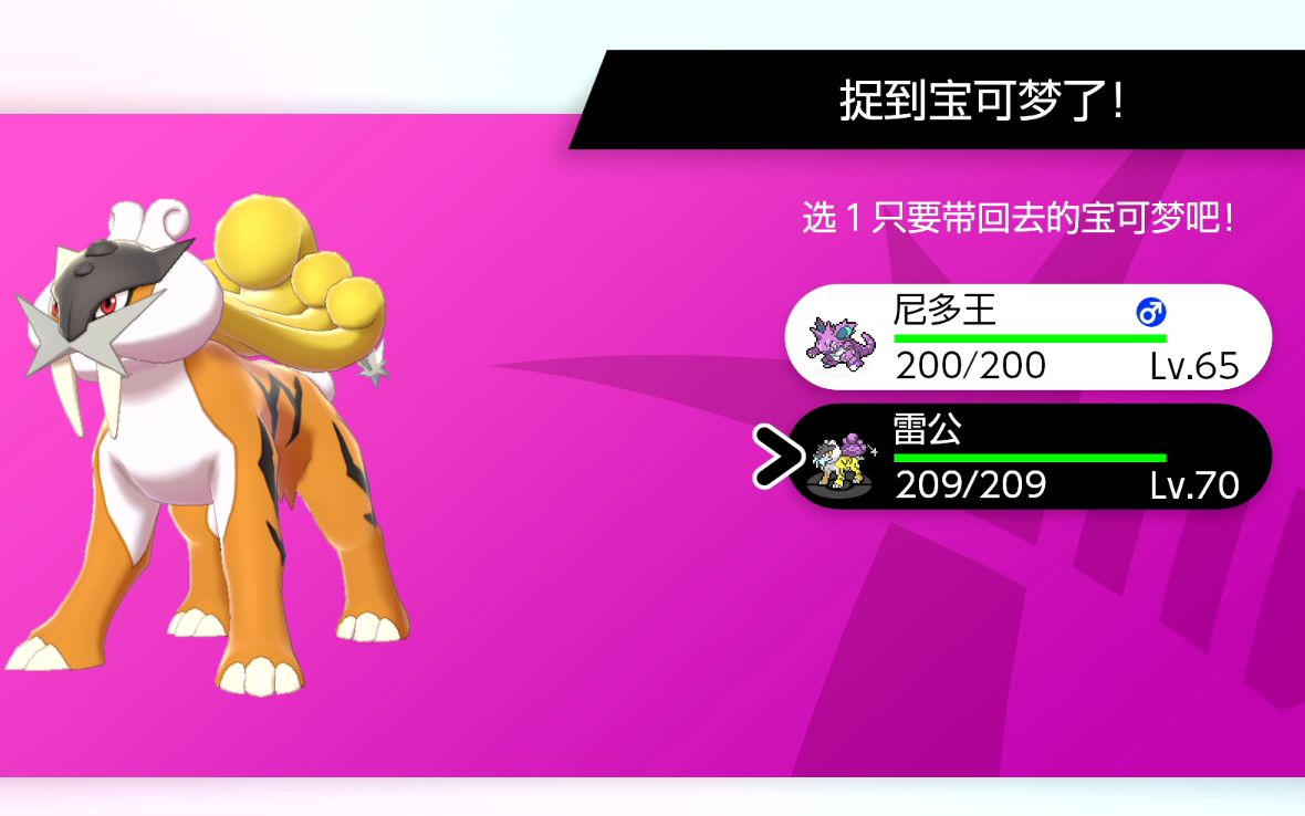 宝可梦剑盾 57次通关神兽副本 闪光雷公 get!