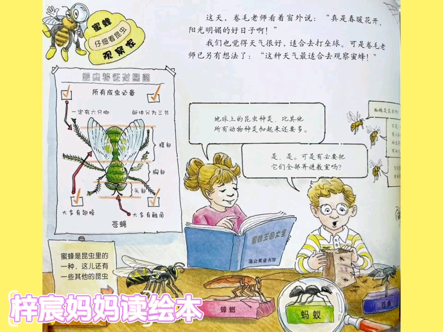 儿童绘本故事|《神奇校车》