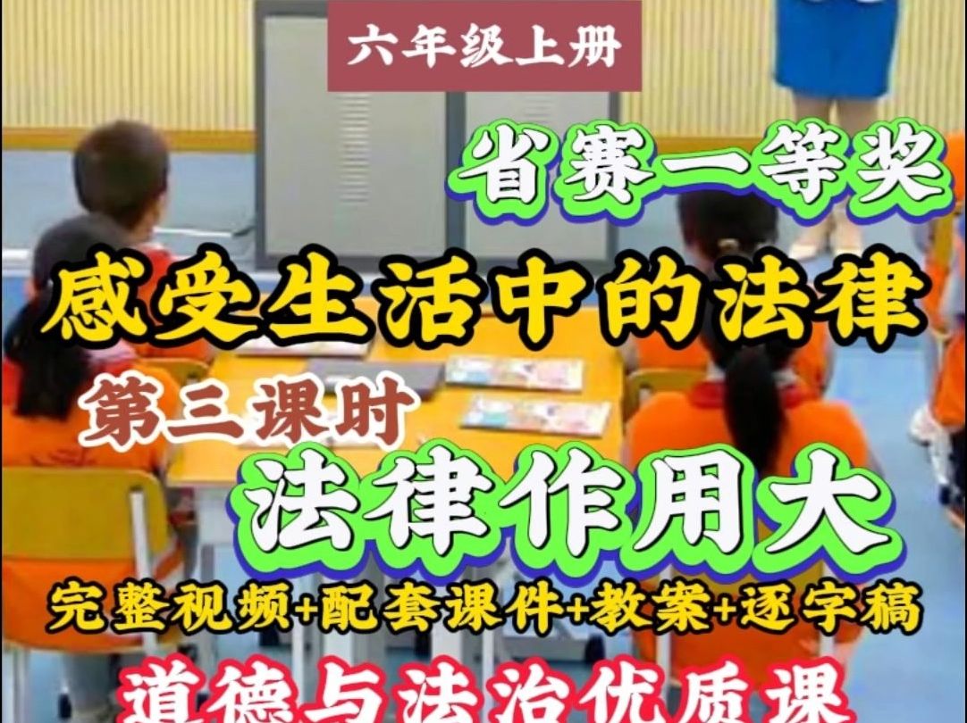 省赛一等奖优质公开课 六年级上册《感受生活中的法律》第三课时“法律作用大” 小学道德与法治优质课哔哩哔哩bilibili