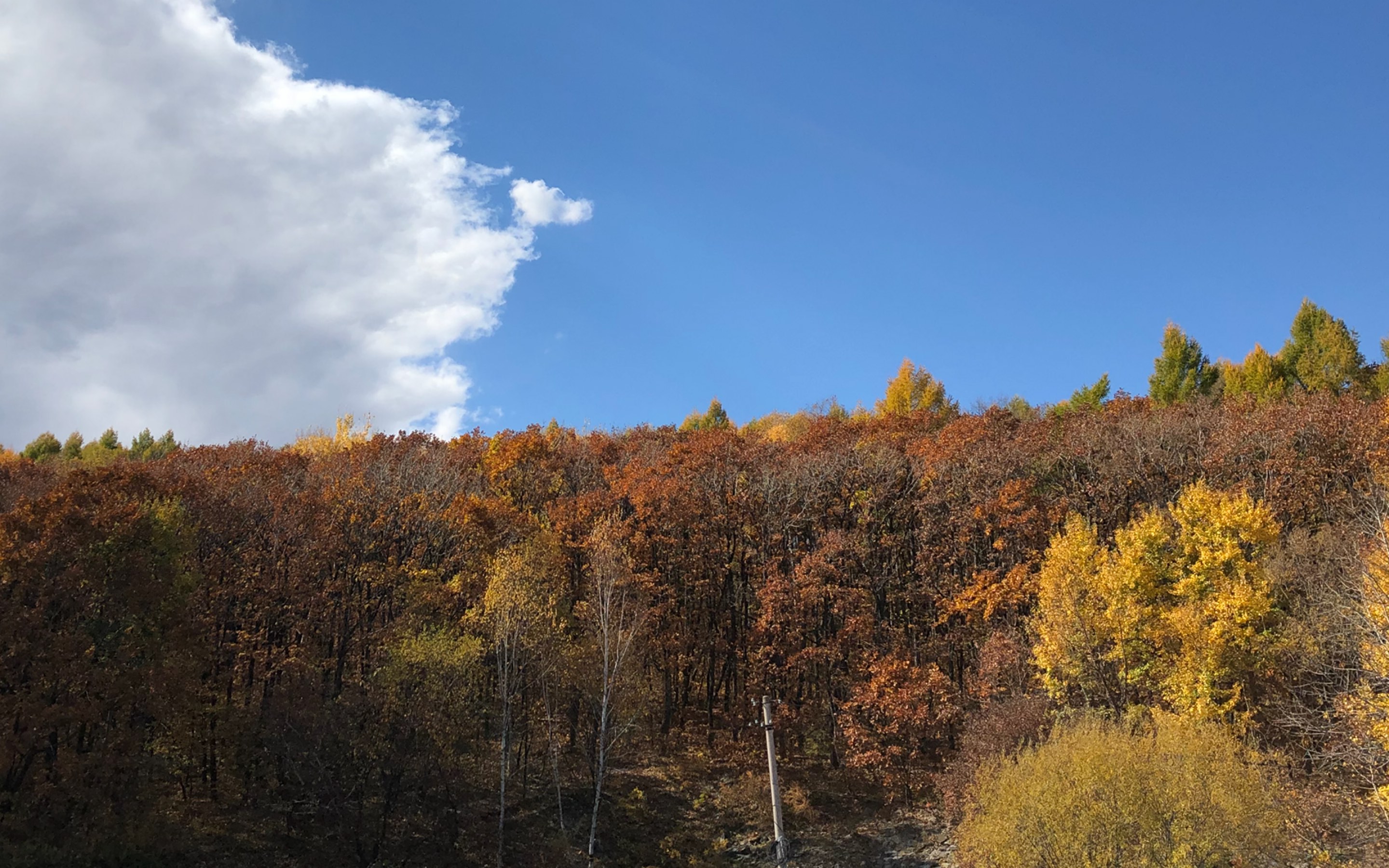 [图]饶河南山观景台