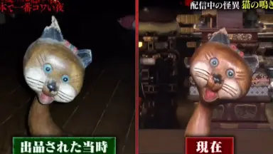 私の猫は超能力者　宜保愛子 私の猫は超能力者 | 宜保 愛子 |本 | 通販 | Amazon
