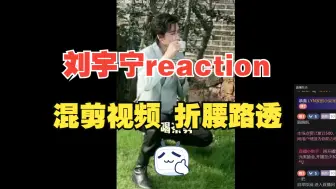 Descargar video: 【刘宇宁reaction】看大刘老师的混剪视频和折腰部分路透，折腰真的太可惜了