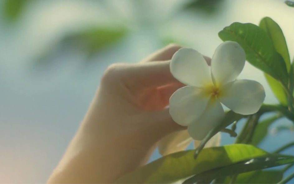 [图]《待到芬芳沁心时》初版预告拍得好有味道，bgm真的很应景